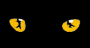 cats icon