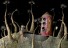 samorost2